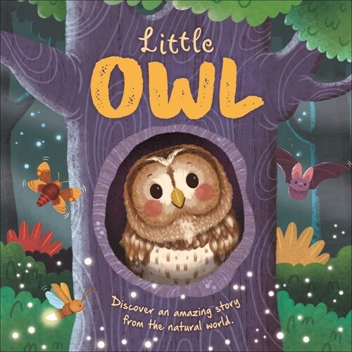 Nature Stories: Little Owl-Discover an Amazing Story from the Natural World: Padded Board Book (Board Books)