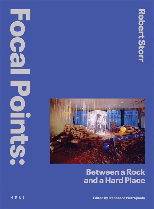 Focal Points: Between a Rock and a Hard Place : Race and Representation in the American Citadel of Modern Art (Hardcover)