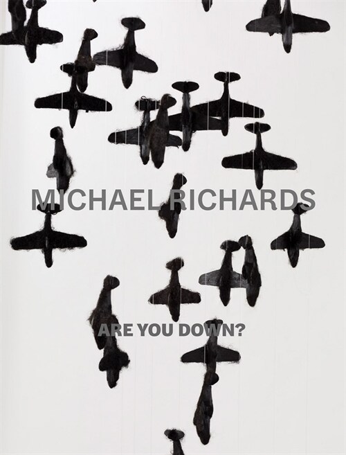 Michael Richards: Are You Down? (Hardcover)