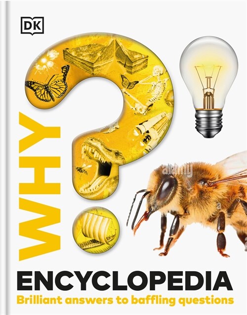 Why? Encyclopedia: Brilliant Answers to Baffling Questions (Hardcover)