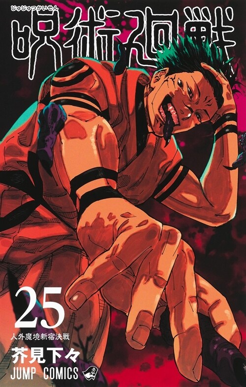 呪術廻戰 25 (ジャンプコミックス)