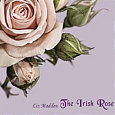 [수입] Liz Madden - The Irish Rose