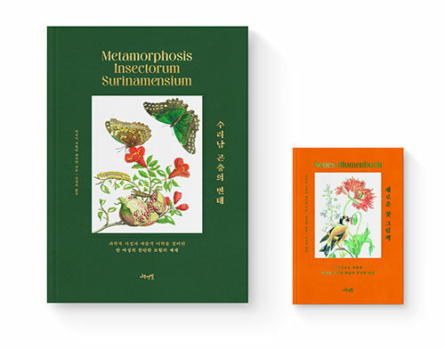 [세트] 수리남 곤충의 변태 + 새로운 꽃 그림책
