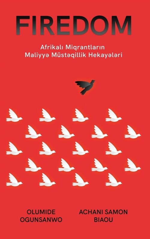 Afrikalı M?acirlərin Maliyyə M?təqillik Hekayələri: Afrikalı M?acirlərin Maliyyə M?təqillik Heka (Hardcover)