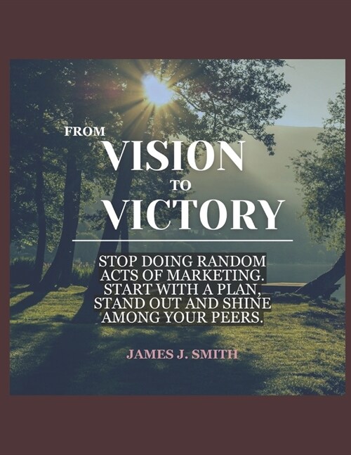 From Vision to Victory: A Guide to Launching Your Business (Paperback)