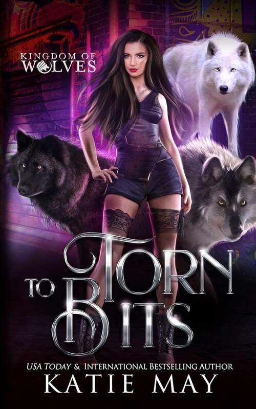 Torn to Bits (Paperback)