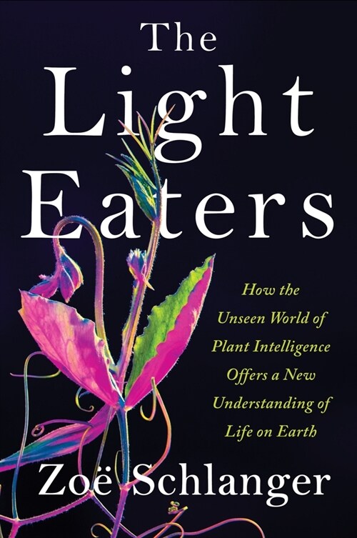 The Light Eaters: How the Unseen World of Plant Intelligence Offers a New Understanding of Life on Earth (Hardcover)