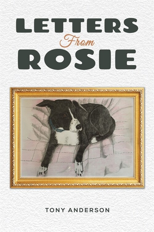 Letters from Rosie (Paperback)