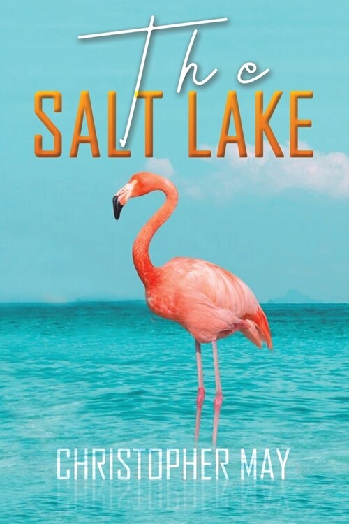 The Salt Lake (Paperback)
