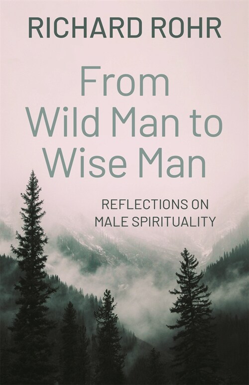 From Wild Man to Wise Man: Reflections on Male Spirituality (Paperback)