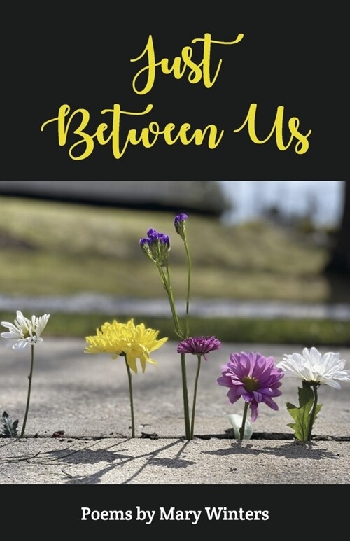 Just Between Us (Paperback)