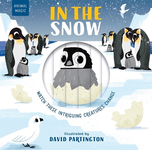 In the Snow (Board Books)