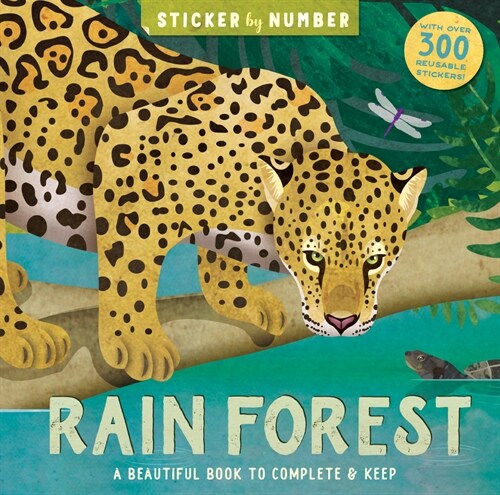 Rain Forest (Paperback)