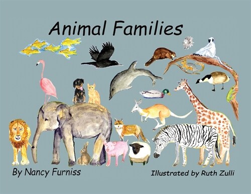 Animal Families (Paperback)