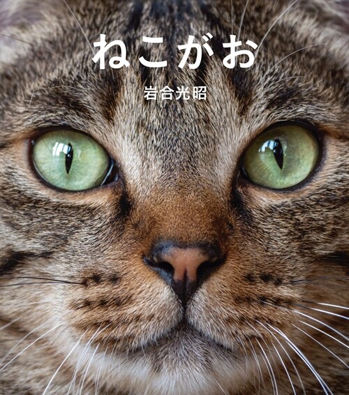 ねこがお (IWAGO’S BOOK 8)