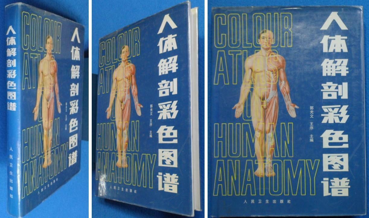 [중고] 인체해부채색도보 (人體解剖彩色圖譜) Color Atlas of Human Anatomy 9787117007290 (중문간체, 1998 /9쇄)  상현서림 ☜ /사진의 제품/