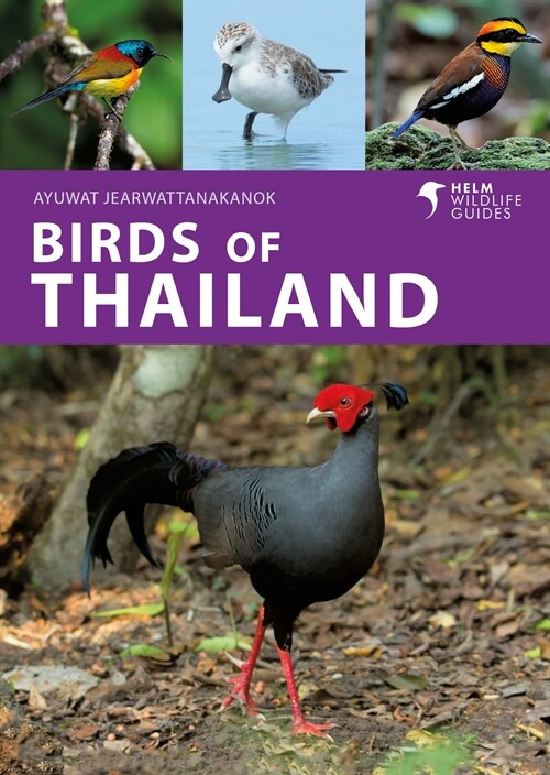 Birds of Thailand (Paperback)