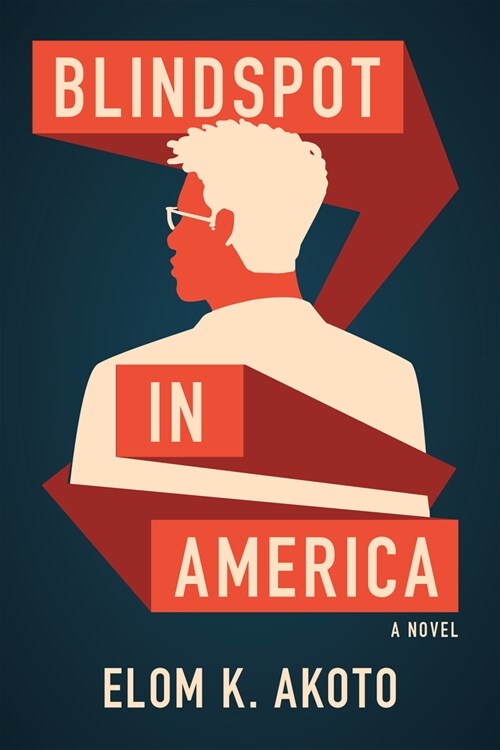 Blindspot in America (Paperback)
