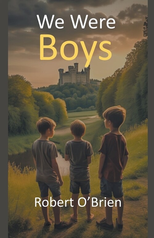 We Were Boys (Paperback)