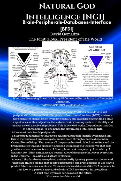 Natural God Intelligence [NGI]. Brain-Peripherals-Databases-Interface [BPDI]: When the Processing Power Is A Group Of Connected Brains Instead of Conn (Paperback)