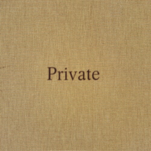 Tod Lippy: Private (Paperback)