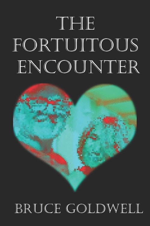 A Fortuitous Encounter (Paperback)