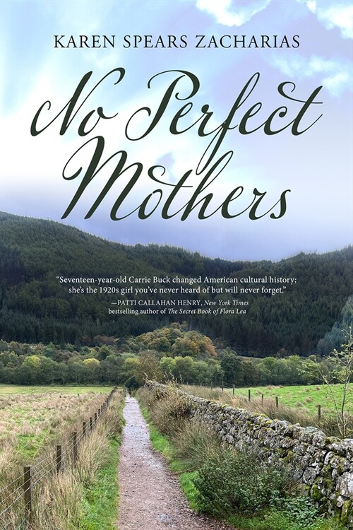 No Perfect Mothers (Hardcover)