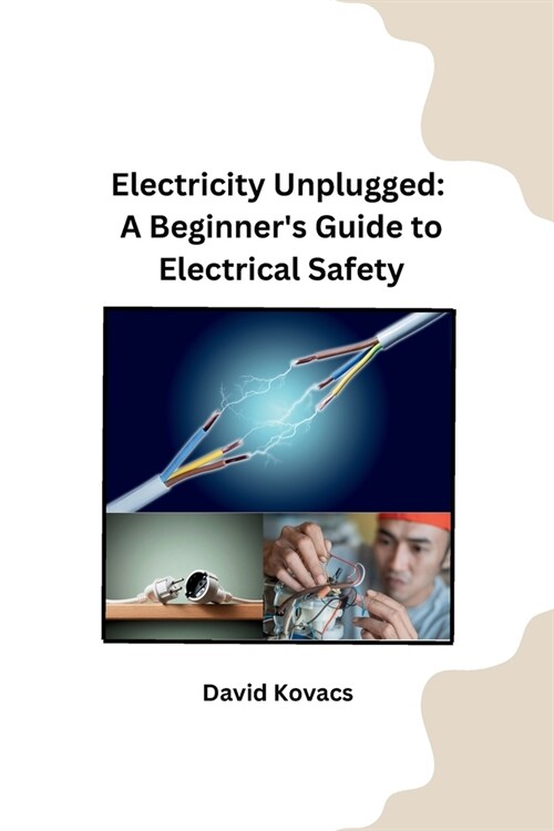 Electricity Unplugged: A Beginners Guide to Electrical Safety (Paperback)