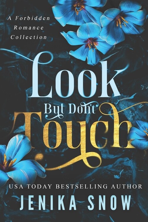 Look But Dont Touch: A Forbidden Romance Collection (Paperback)