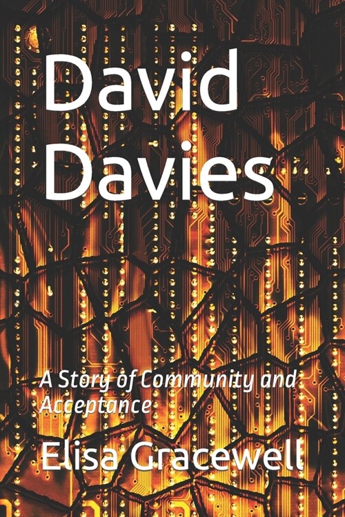 David Davies: A Story of Community and Acceptance (Paperback)