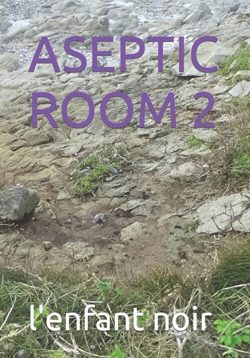 Aseptic Room 2 (Paperback)