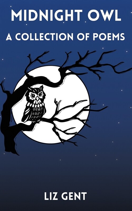 Midnight Owl (Paperback)