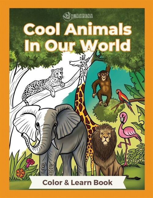 Cool Animals In Our World (Paperback)