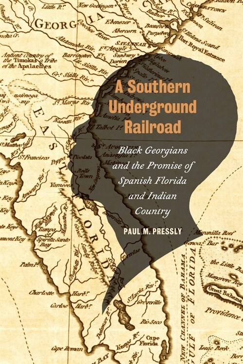 A Southern Underground Railroad: Black Georgians and the Promise of Spanish Florida and Indian Country (Paperback)