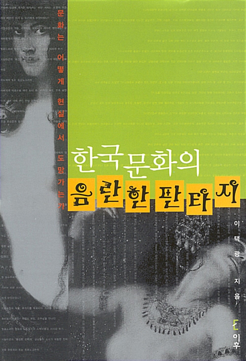 한국 문화의 음란한 판타지