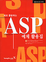 (바로 활용하는)ASP 예제 활용집