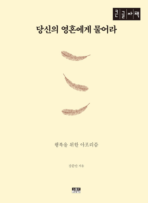 [큰글자책] 당신의 영혼에게 물어라