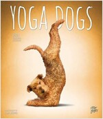 YOGA DOGS 2024 SQUARE STKR STARGIFTS (Paperback)