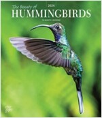 HUMMINGBIRDS THE BEAUTY OF 2024 SQUARE S (Paperback)