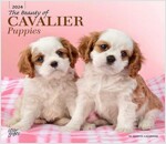 CAVALIER KING CHARLES SPANIEL PUPPIES TH (Paperback)