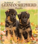 GERMAN SHEPHERD PUPPIES THE BEAUTY OF 20 (Paperback)