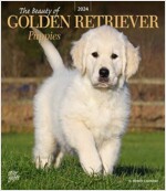 GOLDEN RETRIEVER PUPPIES THE BEAUTY OF 2 (Paperback)
