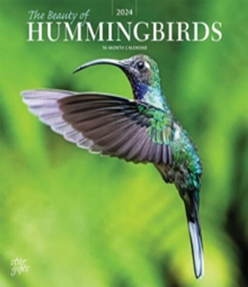 HUMMINGBIRDS THE BEAUTY OF 2024 SQUARE S (Paperback)