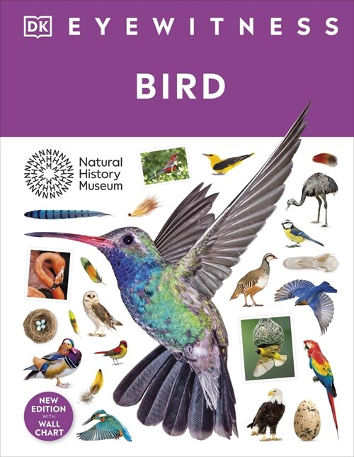 Bird (Hardcover)