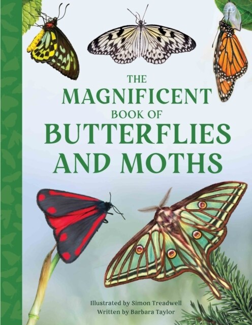 The Magnificent Book of Butterflies and Moths (Hardcover)
