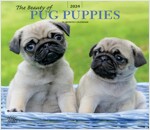 PUG PUPPIES THE BEAUTY OF 2024 SQUARE ST (Paperback)