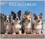 WELSH CORGIS THE BEAUTY OF 2024 DELUXE S (Paperback)