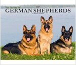 GERMAN SHEPHERDS THE BEAUTY OF 2024 DELU (Paperback)