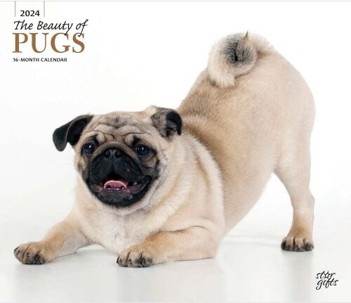 PUGS THE BEAUTY OF 2024 DELUXE STKR STAR (Paperback)