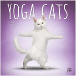YOGA CATS 2024 SQUARE STKR STARGIFTS (Paperback)